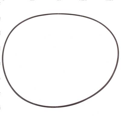 Picture of O-Ring
