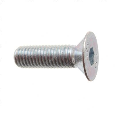 Picture of Screw