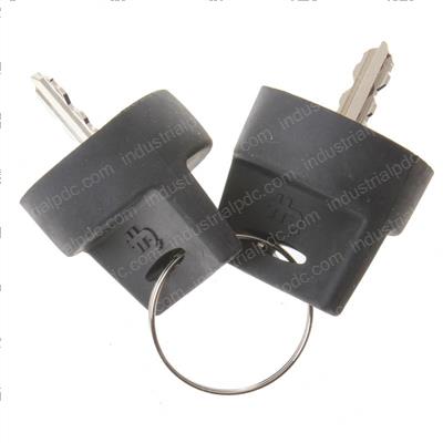 Picture of Set of Keys for Keyswitch