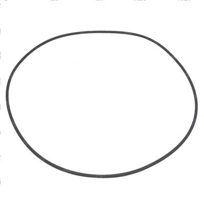 Picture of O-Ring
