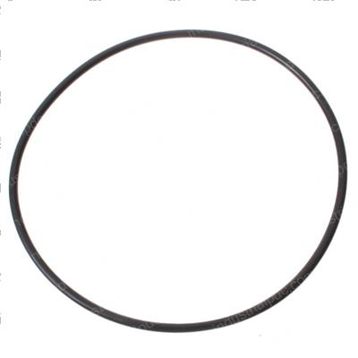 Picture of O-Ring
