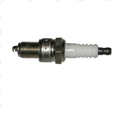 Picture of Plug - Spark
