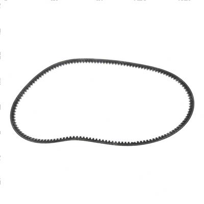 Picture of Belt- Alt