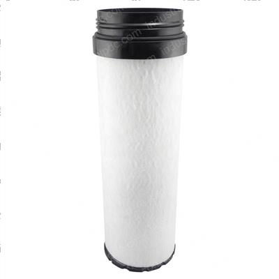 Picture of Filter - Air Inner