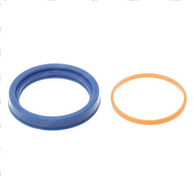 Picture of Seal - Lip