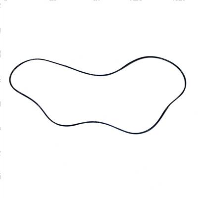 Picture of O-Ring
