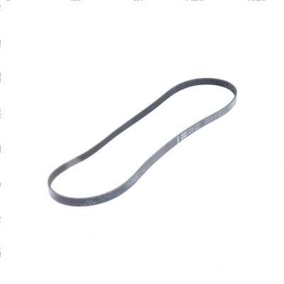 Picture of Belt4 Rib Microv