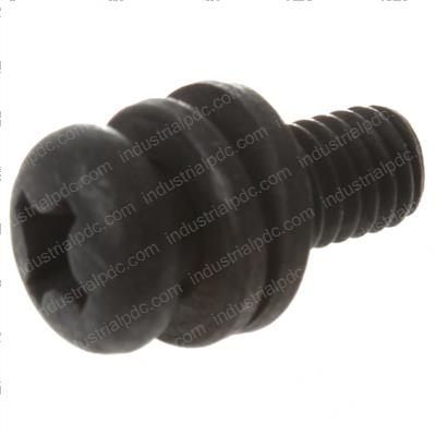 Picture of Screw - With Washer
