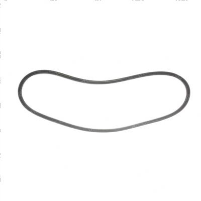 Picture of Belt - Drive