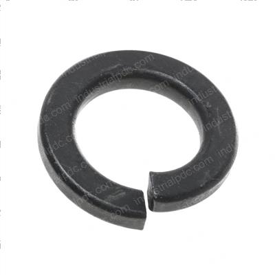 Picture of Washer-Spring