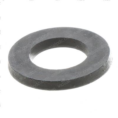 Picture of Washer-Hardened