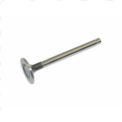 Picture of Valve - Exhaust