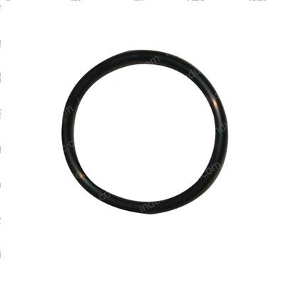 Picture of O-Ring