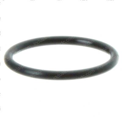 Picture of O-Ring
