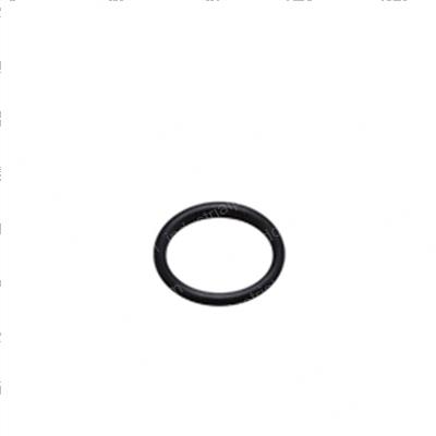 Picture of O-Ring
