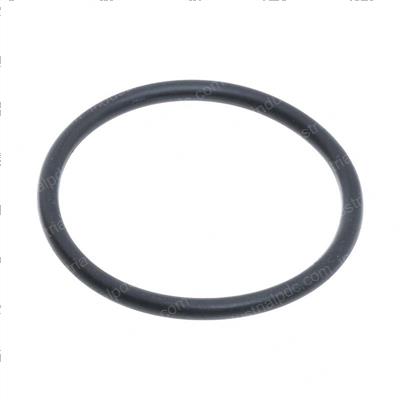 Picture of O-Ring