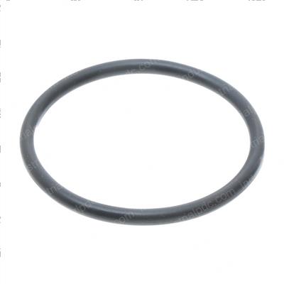Picture of O-Ring