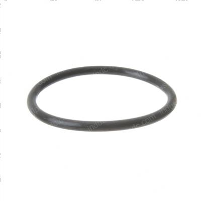 Picture of O-Ring