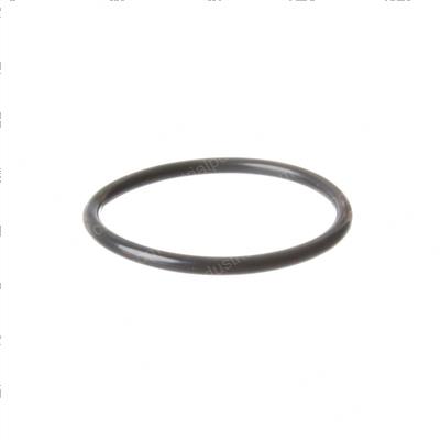 Picture of O-Ring