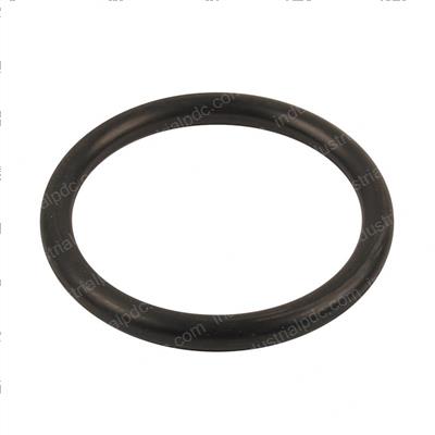 Picture of O-Ring