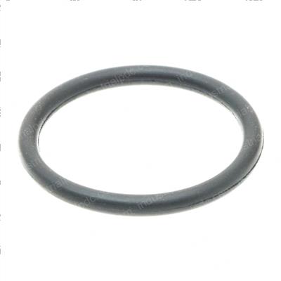 Picture of O-Ring