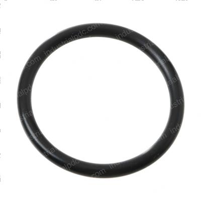 Picture of O-Ring