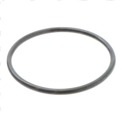 Picture of O-Ring
