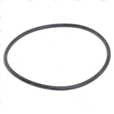 Picture of O-Ring