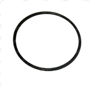 Picture of O-Ring