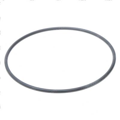 Picture of O-Ring