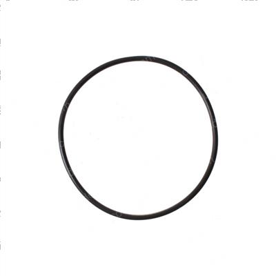 Picture of O-Ring