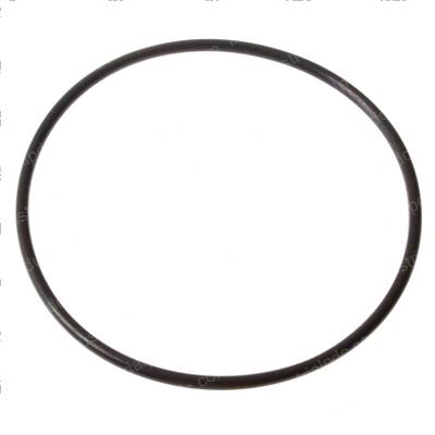 Picture of O-Ring