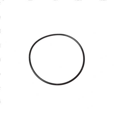 Picture of O-Ring