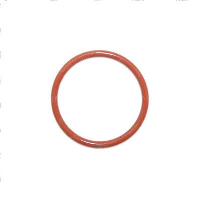 Picture of O-Ring