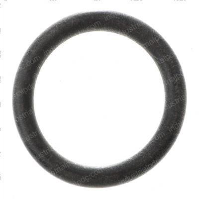 Picture of O-Ring