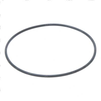 Picture of O-Ring