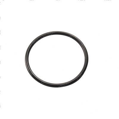 Picture of O-Ring