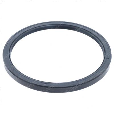 Picture of Seal Ring