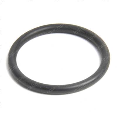 Picture of O-Ring