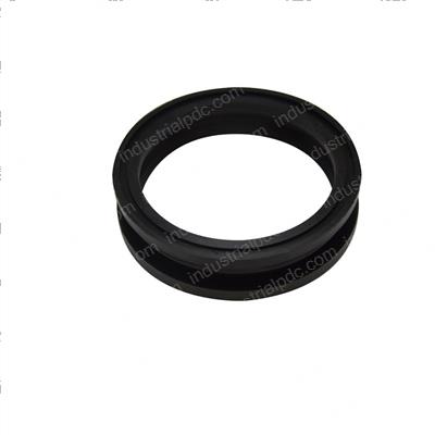 Picture of Seal - V