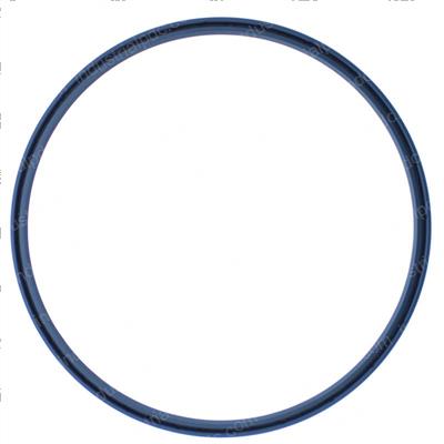 Picture of Seal - Differential