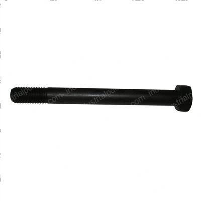 Picture of Bolt