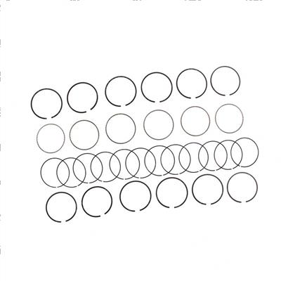 Picture of Piston Ring Set 6 Cyl Std