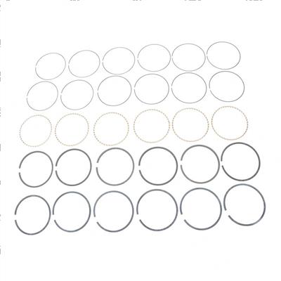 Picture of Piston Ring Set 6 Cyl 0.50