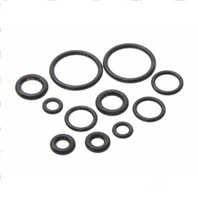 Picture of Seal Kit for the 136540 Bra