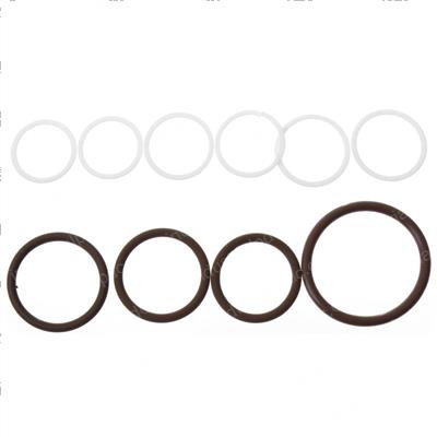 Picture of Seal Kit - Fluoro Carbon/Viton