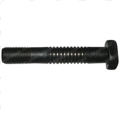 Picture of Bolt