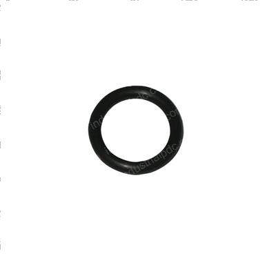 Picture of O-Ring
