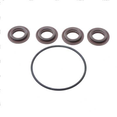 Picture of Seal Kito Ring