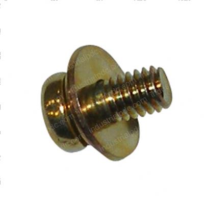 Picture of Screw
